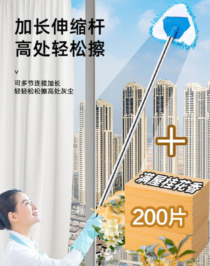 家用懒人干湿两用地拖布一拖净拖免手洗三角形除尘拖把清洁片套装