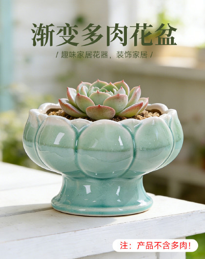 2个装渐变多肉花盆简约仙人球盆虎皮兰绿植桌面小盆栽透气盆花盆